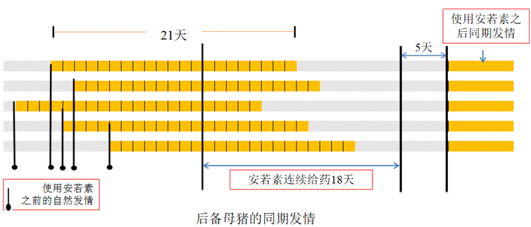 https://mmbiz.qpic.cn/mmbiz_png/hKzaSICHBnDxVhnHJlJ3mP4EDJkHvMdibXicDKeE0jdhDcbREWDJib73jOrnKYmuibmobv9GhQuUHplFCIxxXUgLTw/640?wx_fmt=png