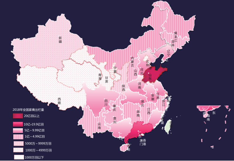 2018年全国家禽出栏量分布